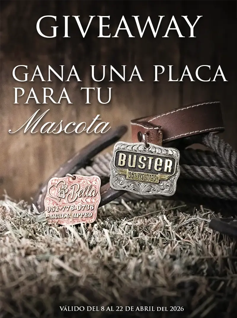 Hebillas De Vaqueros